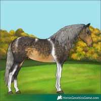 Horse Color:Silver Buckskin Mushroom Tobiano