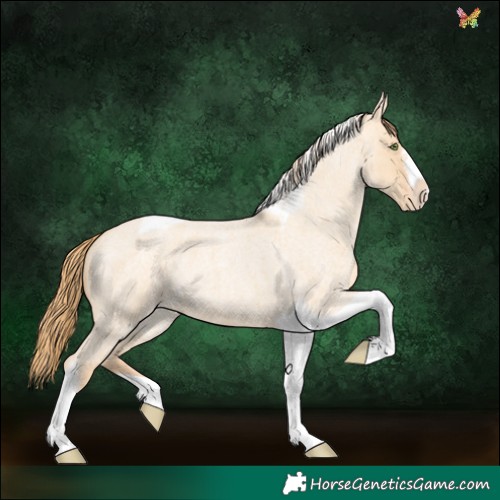 Horse Color:Gold Champagne Roan Dun Splash Tobiano Frame Appaloosa Rabicano 