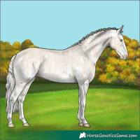Horse Color:Cremello Sabino  and Cremello Sabino 