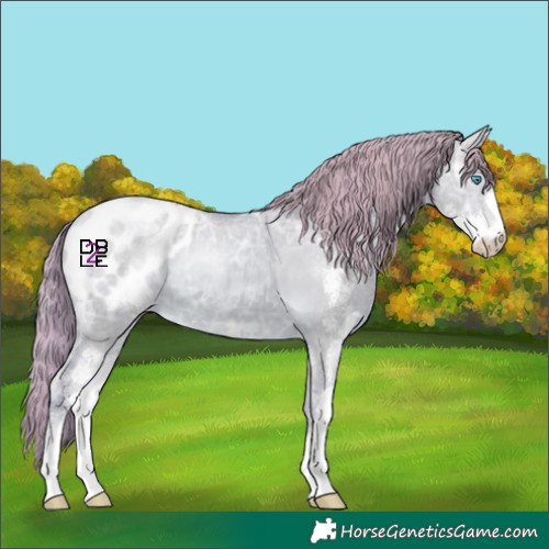 Horse Color:Watercolor Smoky Creme Ice Dun Sabino Appaloosa 