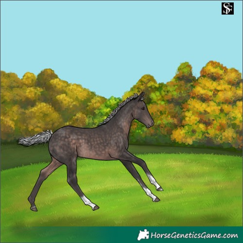 Horse Color:Platinum Silver Brown Tobiano