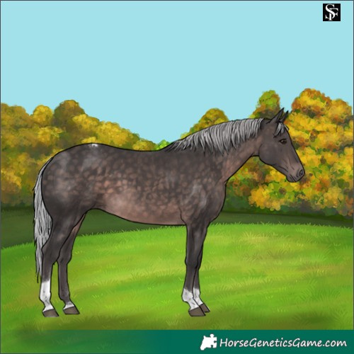 Horse Color:Platinum Silver Brown Tobiano 