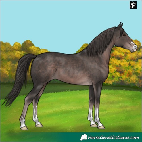Horse Color:Platinum Liver Chestnut 