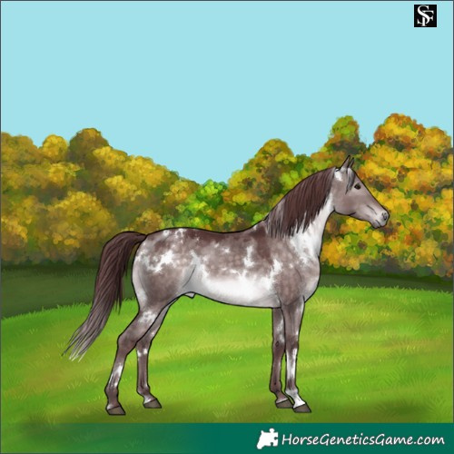 Horse Color:Platinum White Spotted Chocolate Brown Dun 
