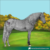 Horse Color:ERROR: UNKNOWN ANOMALY