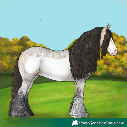 Horse Color:Buckskin Ice Roan Frame 