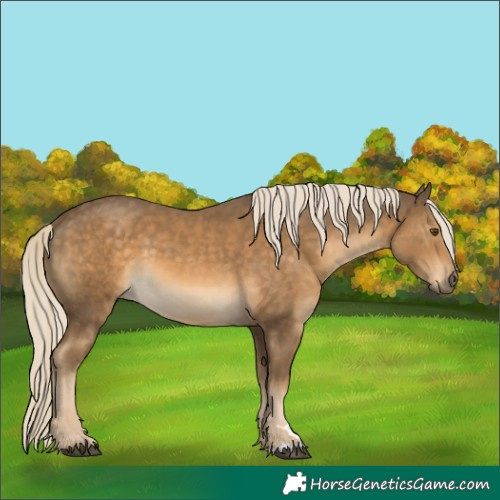 Horse Color:Chocolate Palomino Mushroom 