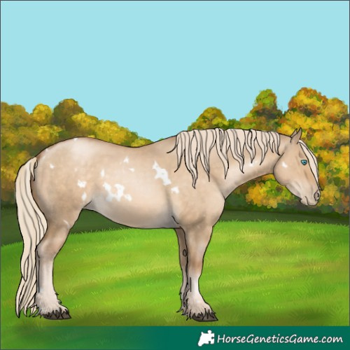 Horse Color:White Spotted Chocolate Palomino Pearl Dun Rabicano 