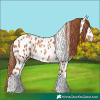 Horse Color:Gold Champagne Near Leopard