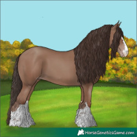 Horse Color:Classic Champagne 