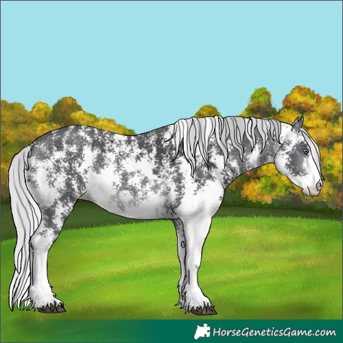 Horse Color:Silver Brown Chinchilla Sabino 