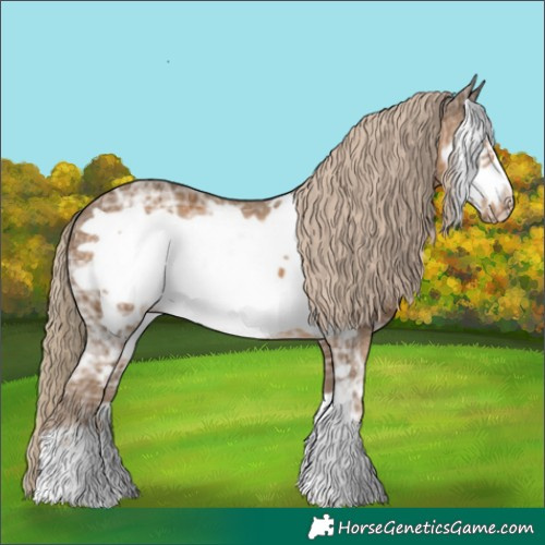 Horse Color:Chocolate Palomino Ice Frame