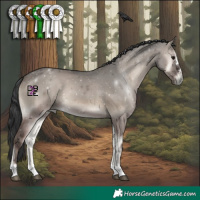 Horse Color:Grullo Onyx