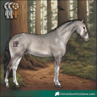 Horse Color:Grullo Onyx 