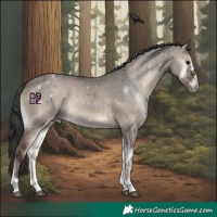 Horse Color:Grullo Onyx 