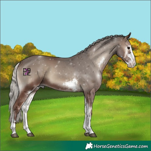Horse Color:Silver Blue Onyx Sabino