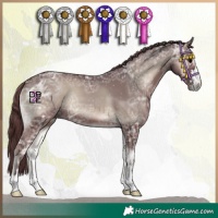 Horse Color:Chocolate Blue Onyx Ice