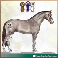 Horse Color:Chocolate Blue Onyx Ice 