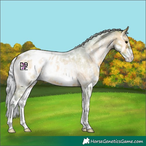 Horse Color:Watercolor Silver Brown Roan Onyx Sabino Appaloosa 