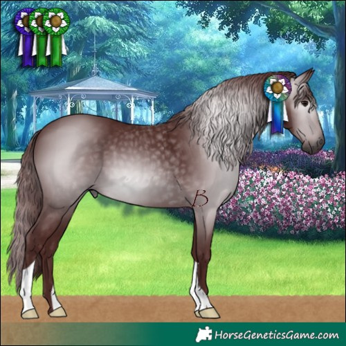 Horse Color:Gray Chocolate Black 