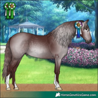 Horse Color:Gray Chocolate Black