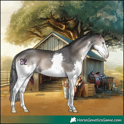 Horse Color:Blue Onyx Splash