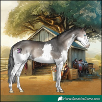 Horse Color:Blue Onyx Splash