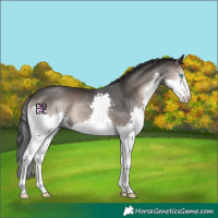 Horse Color:Blue Onyx Splash 