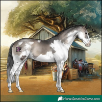 Horse Color:Blue Onyx Splash