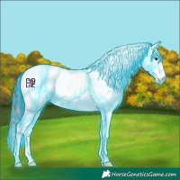 Horse Color:Thunderstruck Bay Mushroom Sabino Appaloosa