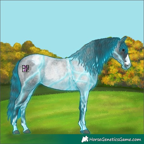 Horse Color:Thunderstruck Blue Roan Appaloosa 