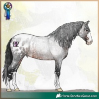 Horse Color:Brown Roan Mushroom Blanket
