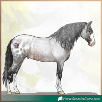 Horse Color:Brown Roan Mushroom Blanket