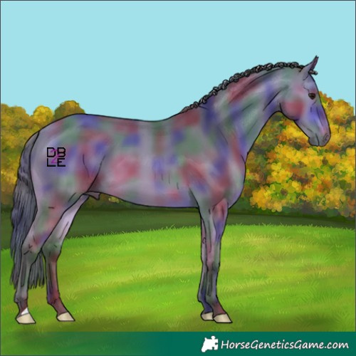 Horse Color:Nacre Buckskin 