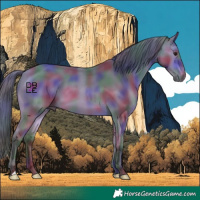 Horse Color:Nacre Buckskin