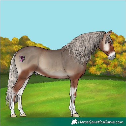 Horse Color:Silver Blue Onyx 