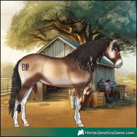 Horse Color:Brown Onyx 