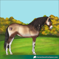Horse Color:Brown Onyx