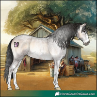 Horse Color:Gray Brown Roan Onyx Sabino 