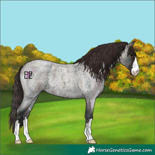 Horse Color:Midnight Bay Ice Roan Onyx 