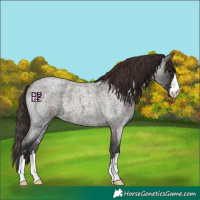 Horse Color:Midnight Bay Ice Roan Onyx