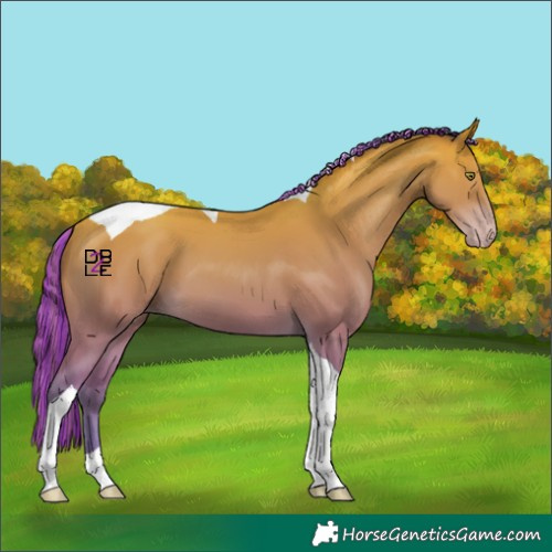 Horse Color:Painted Amber Champagne Tobiano