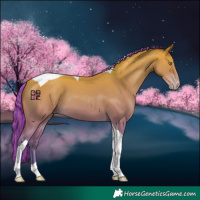Horse Color:Painted Amber Champagne Tobiano