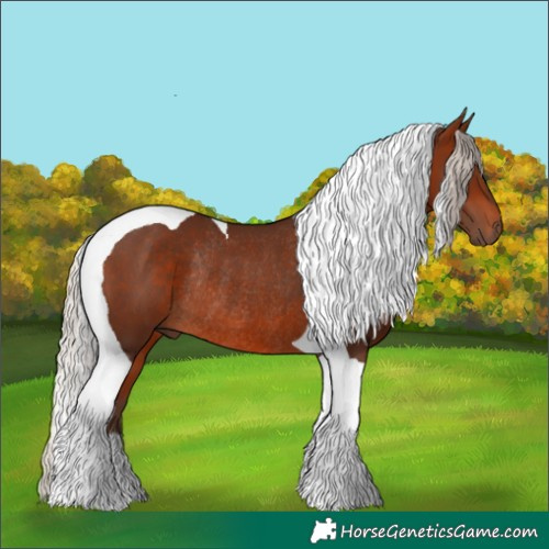 Horse Color:Silver Bay Tobiano Rabicano