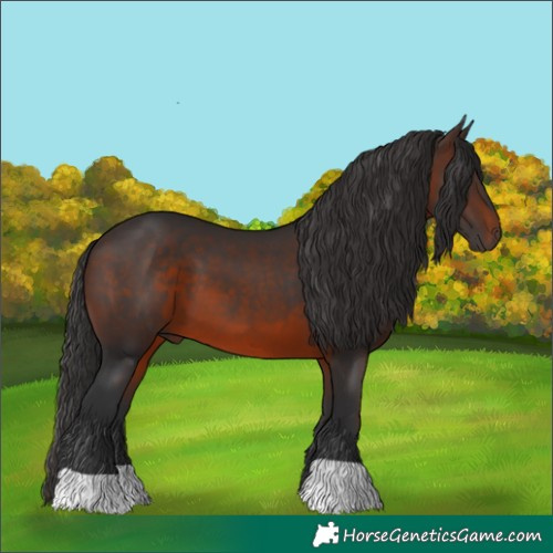 Horse Color:Brown 
