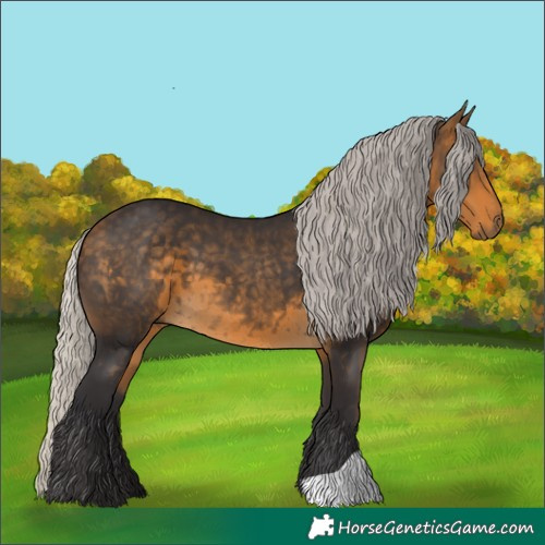 Horse Color:Silver Buckskin 