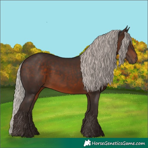 Horse Color:Silver Brown 