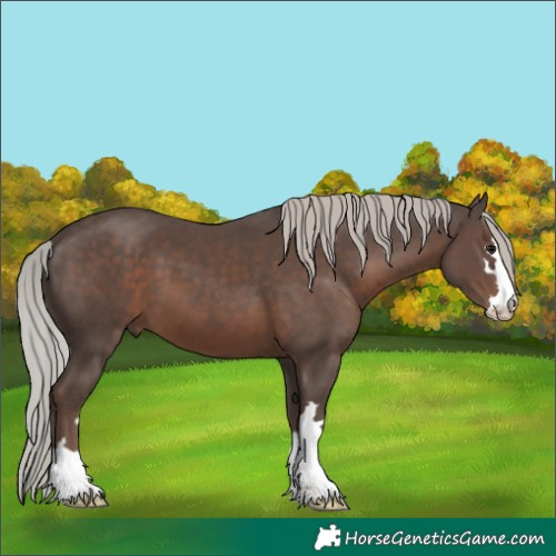 Horse Color:Silver Black 