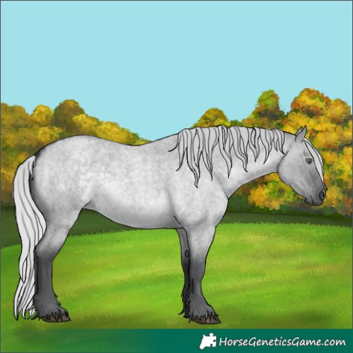 Horse Color:Silver Grullo Chinchilla Roan 