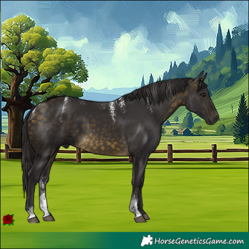 Horse Color:Powder White Buckskin 